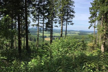 Hiking