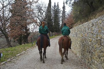 Horseback riding
