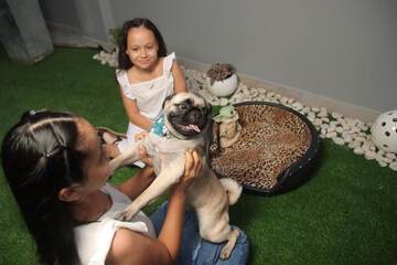 Pet-friendly