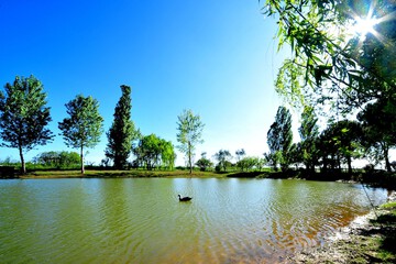 Lake
