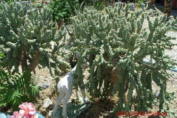 Photo 35