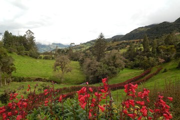Mountain view