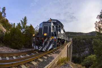 Train station shuttle