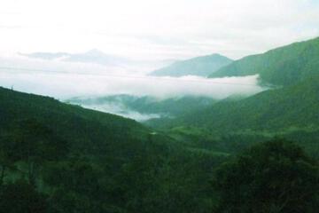 Photo 33