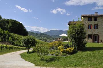 Photo 49