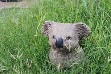 Photo 26