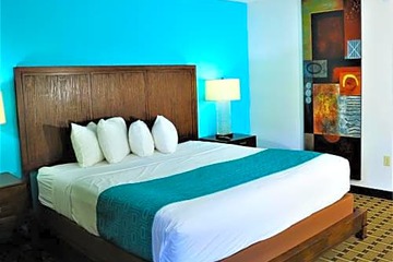 Photo 44