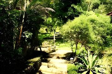 Photo 33