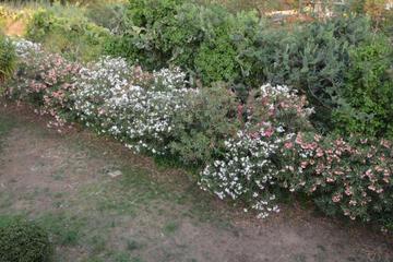Photo 87