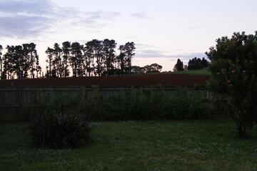 Photo 51
