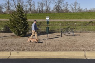 Pet-friendly
