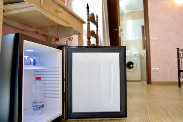 Mini-refrigerator