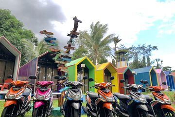 Scooter/moped