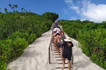 Hiking