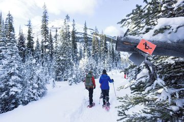 Snowshoeing