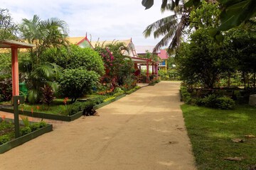 Photo 25