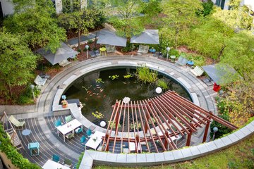 Garden view