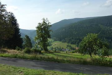 Photo 36