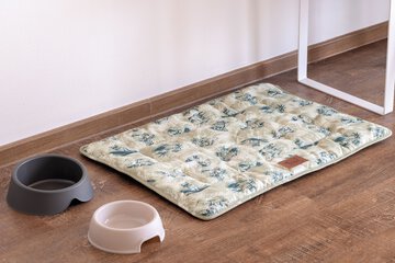 Pet-friendly amenities