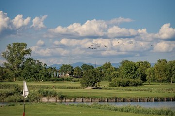 Golf view