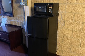Mini-refrigerator