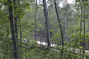 Hiking