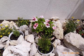 Photo 96