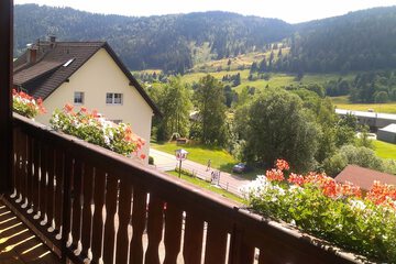 View from room