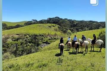 Horseback riding