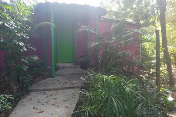 Photo 45