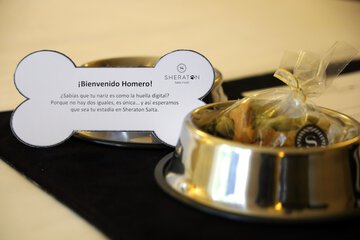 Pet-friendly amenities
