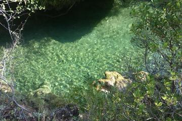 Photo 24