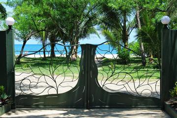 Photo 7
