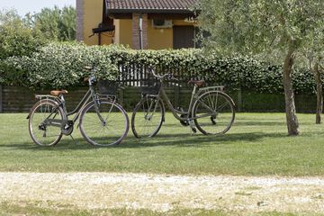 Bicycling