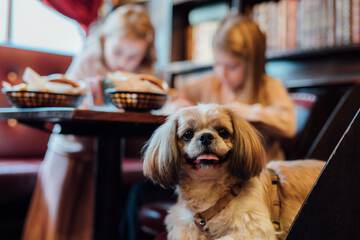 Pet-friendly