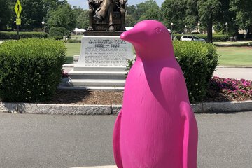 Land view from property