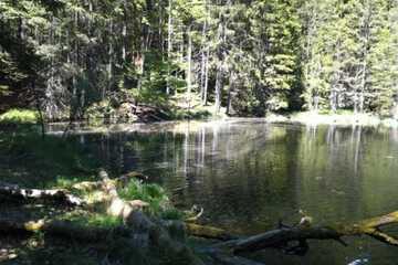 Hiking