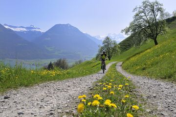 Bicycling