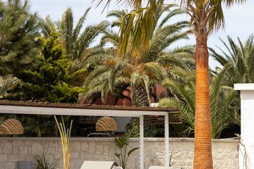 Sundeck