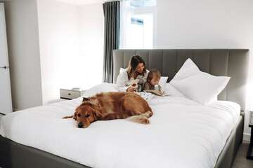 Pet-friendly
