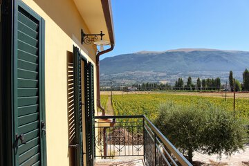 Balcony view