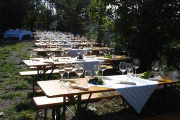 Vineyard