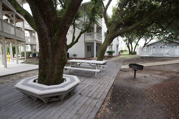 BBQ/picnic area