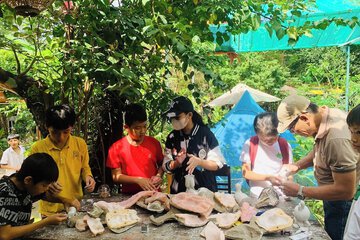 Children's activities