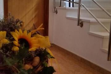 Photo 51