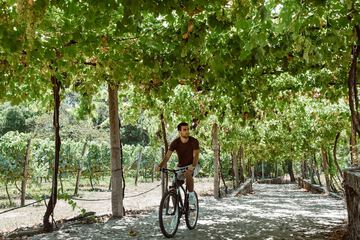 Bicycling