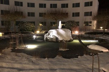 Fountain