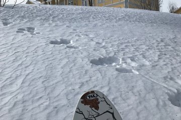 Snowshoeing