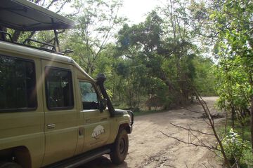 Ecotours
