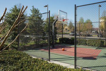 Basketball court